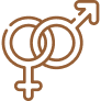 Um desenho de linha marrom de um símbolo masculino e feminino.